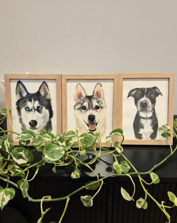 Watercolour portrait of a dog in soft light